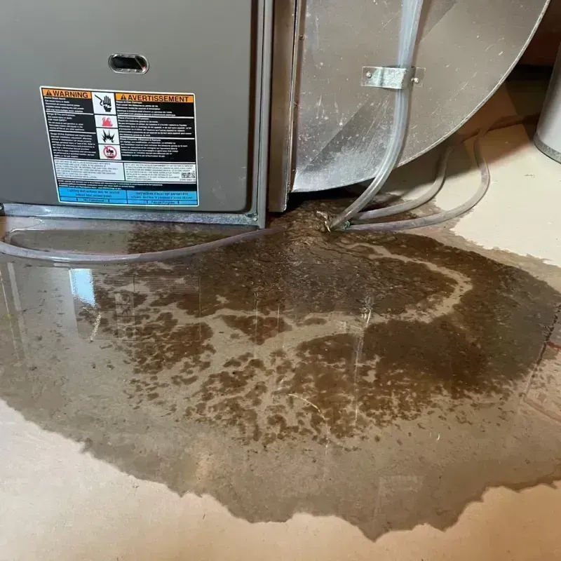 Appliance Leak Cleanup in Buchanan, GA